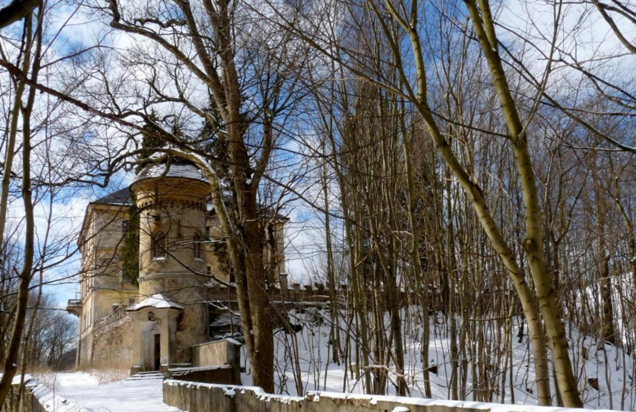 Wellness Pension Iveta Žacléř Exterior foto